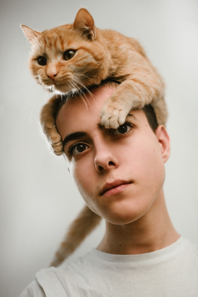 Miau – Die beeindruckende Vielfalt der Katzen Kostüme