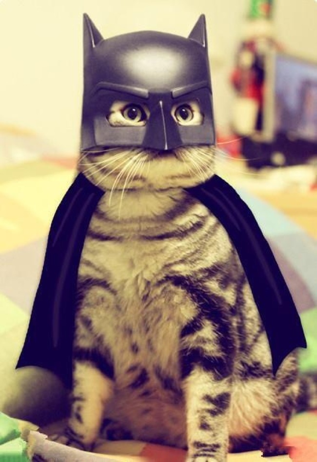Catman - Der dunkle Rächer