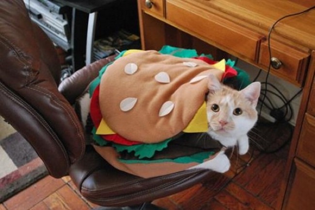 Der KitMac