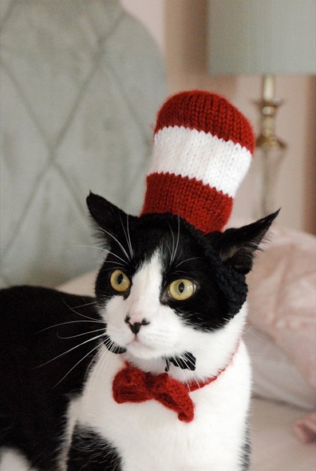 Sir SchnurrALott