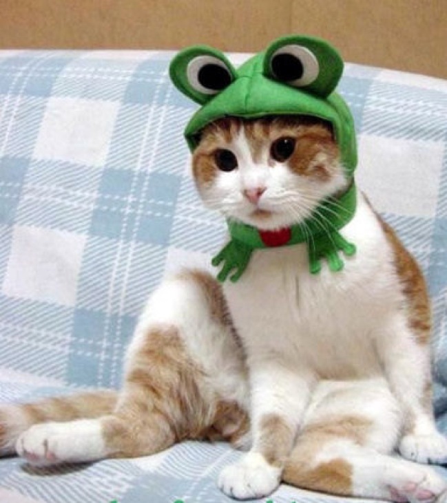 Der Froschkönig