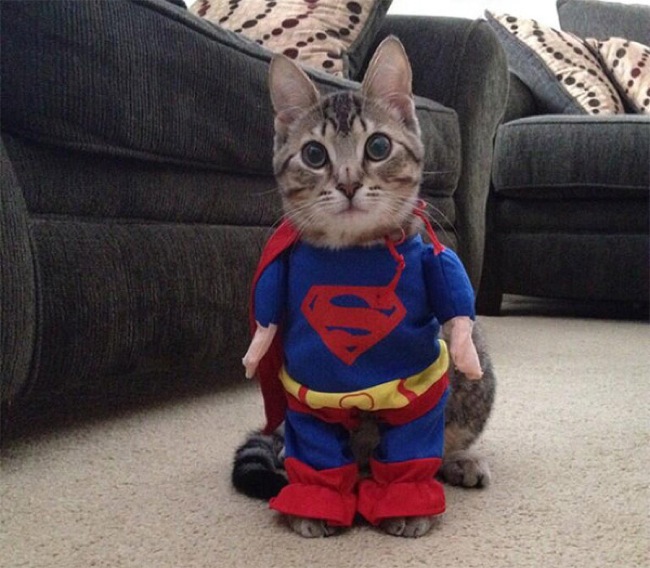 Supercat