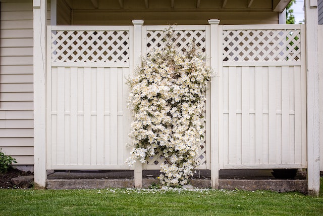 Sichtschutzzaun - Die besten Materialien und Designs für mehr Privatsphäre im Garten