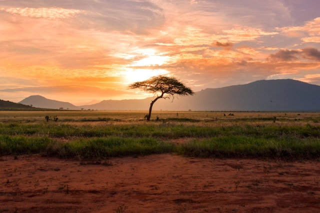 Die 6 größten Reisemythen über Afrika